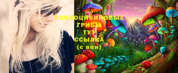 прущие крисы Богородицк