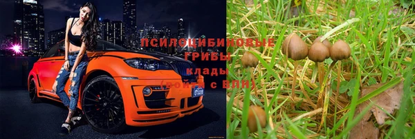 прущие крисы Богородицк