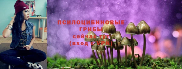 прущие крисы Богородицк